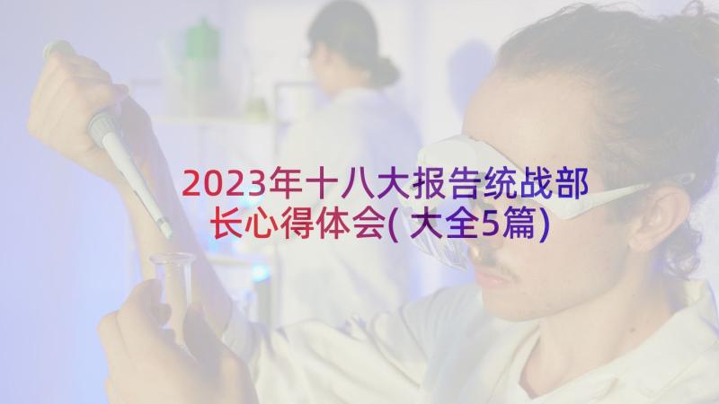 2023年十八大报告统战部长心得体会(大全5篇)