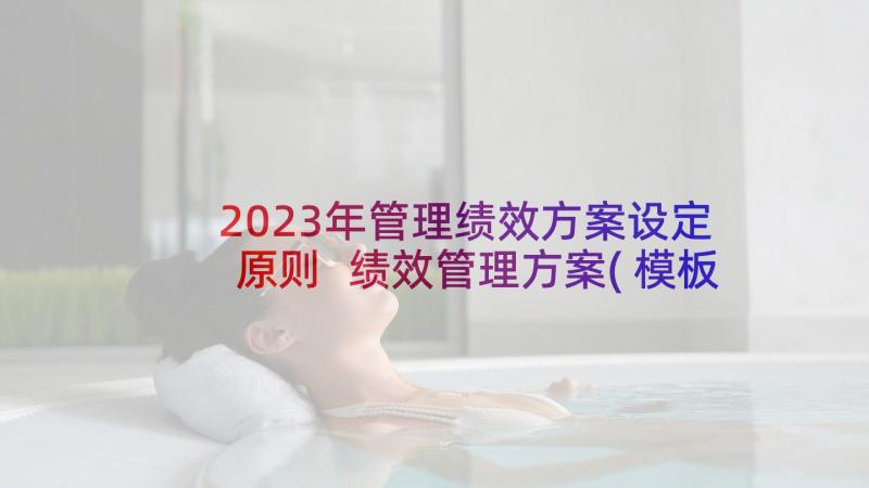 2023年管理绩效方案设定原则 绩效管理方案(模板7篇)