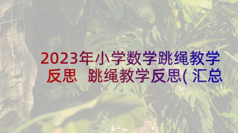 2023年小学数学跳绳教学反思 跳绳教学反思(汇总10篇)