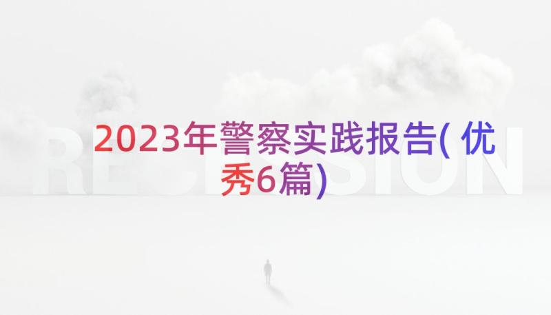 2023年警察实践报告(优秀6篇)