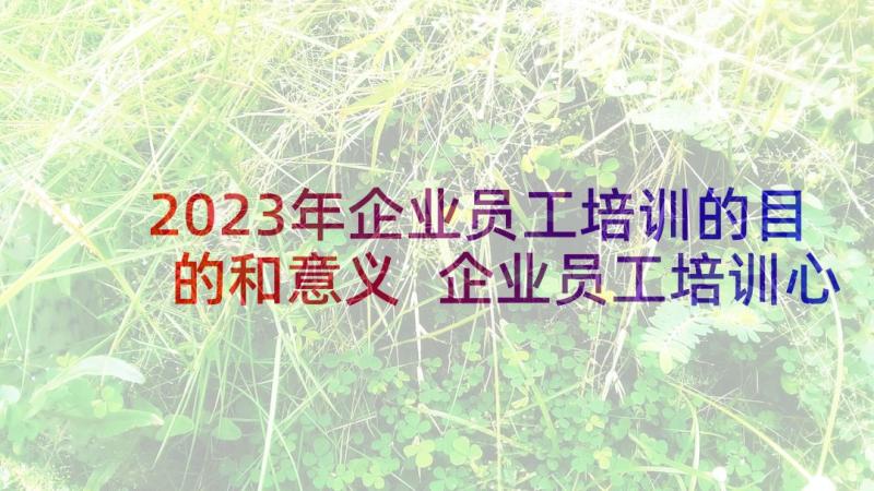 2023年企业员工培训的目的和意义 企业员工培训心得(大全6篇)