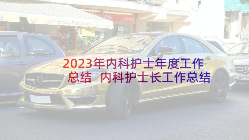 2023年内科护士年度工作总结 内科护士长工作总结(优秀8篇)