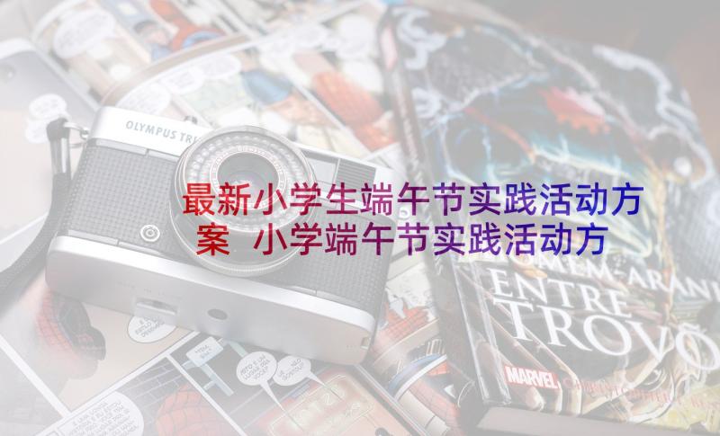 最新小学生端午节实践活动方案 小学端午节实践活动方案(大全10篇)