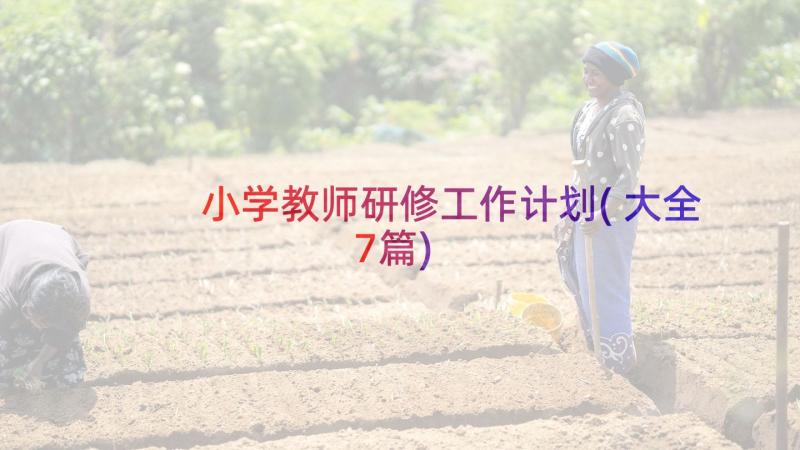 小学教师研修工作计划(大全7篇)