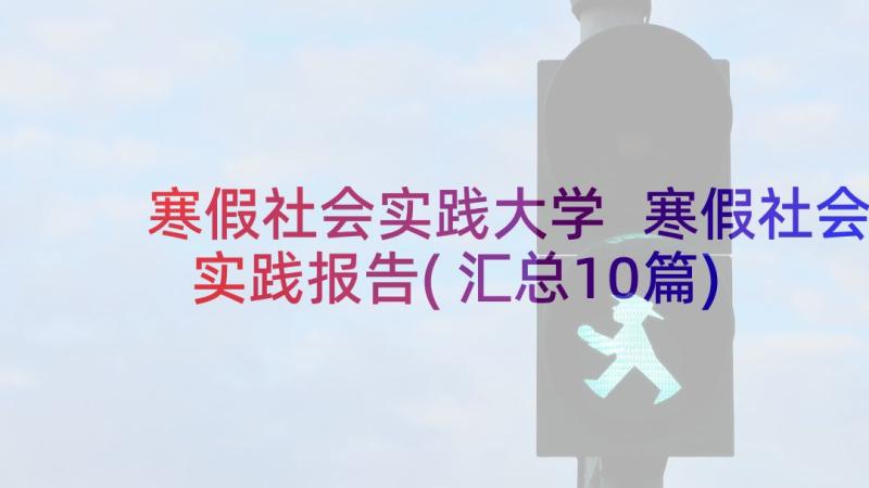 寒假社会实践大学 寒假社会实践报告(汇总10篇)