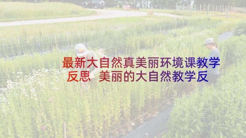 最新大自然真美丽环境课教学反思 美丽的大自然教学反思(大全5篇)