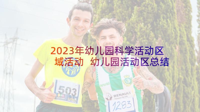 2023年幼儿园科学活动区域活动 幼儿园活动区总结幼儿园区域活动进程表(汇总5篇)