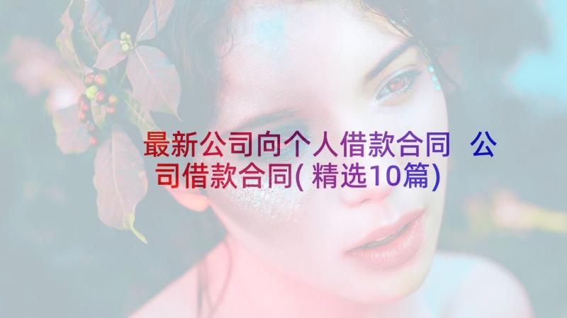 最新公司向个人借款合同 公司借款合同(精选10篇)