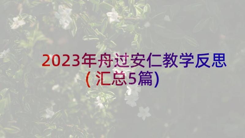 2023年舟过安仁教学反思(汇总5篇)