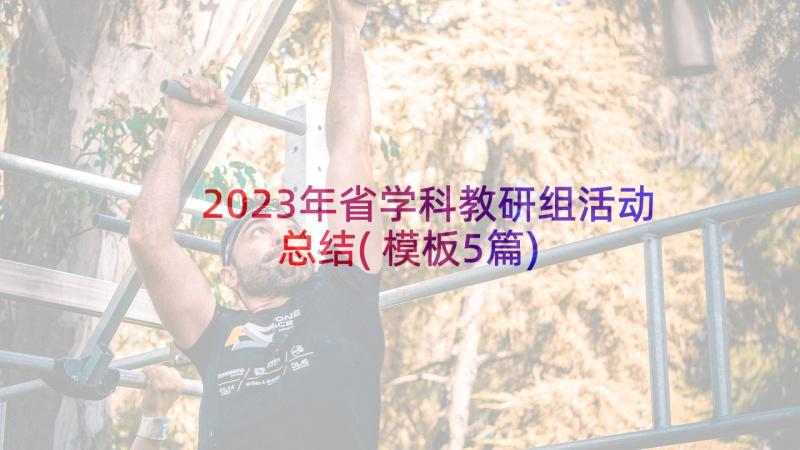 2023年省学科教研组活动总结(模板5篇)