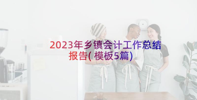 2023年乡镇会计工作总结报告(模板5篇)