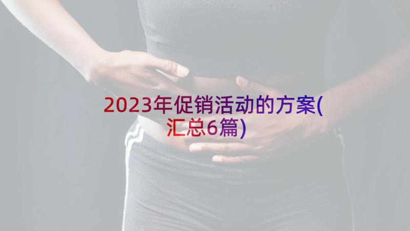 2023年促销活动的方案(汇总6篇)