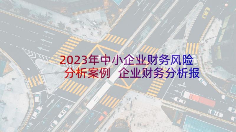 2023年中小企业财务风险分析案例 企业财务分析报告(模板10篇)