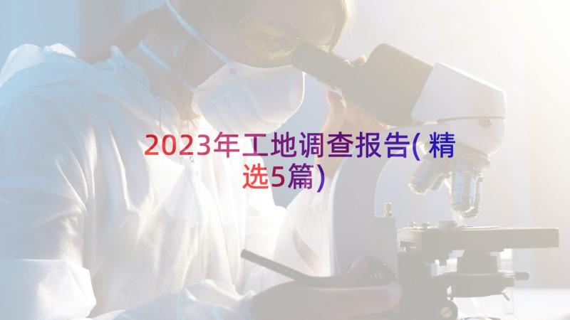 2023年工地调查报告(精选5篇)