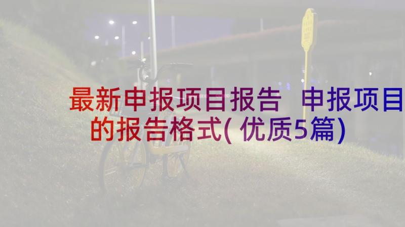 最新申报项目报告 申报项目的报告格式(优质5篇)