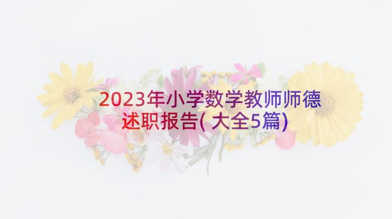 2023年小学数学教师师德述职报告(大全5篇)