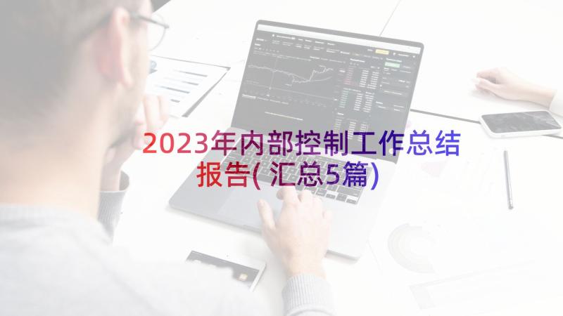2023年内部控制工作总结报告(汇总5篇)
