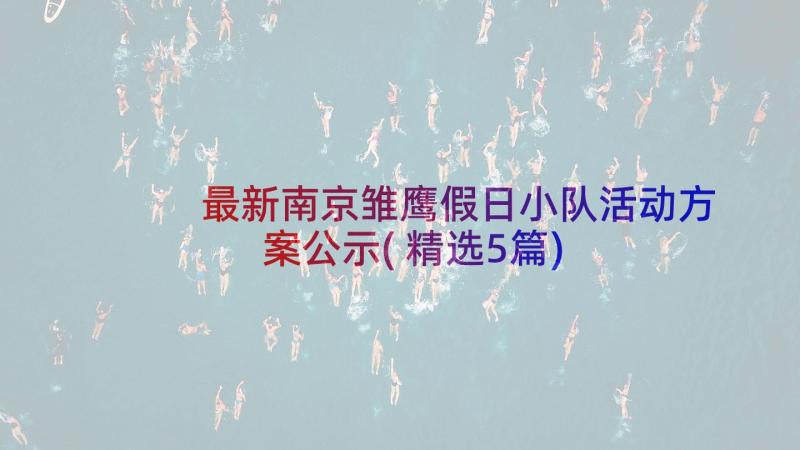 最新南京雏鹰假日小队活动方案公示(精选5篇)