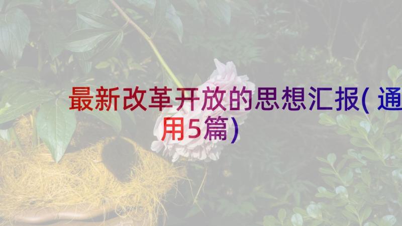 最新改革开放的思想汇报(通用5篇)