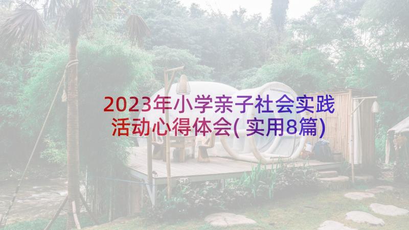 2023年小学亲子社会实践活动心得体会(实用8篇)