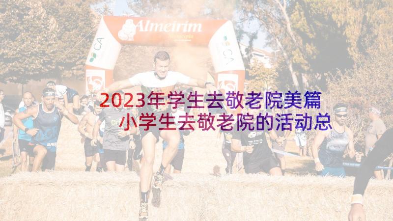 2023年学生去敬老院美篇 小学生去敬老院的活动总结(优质5篇)