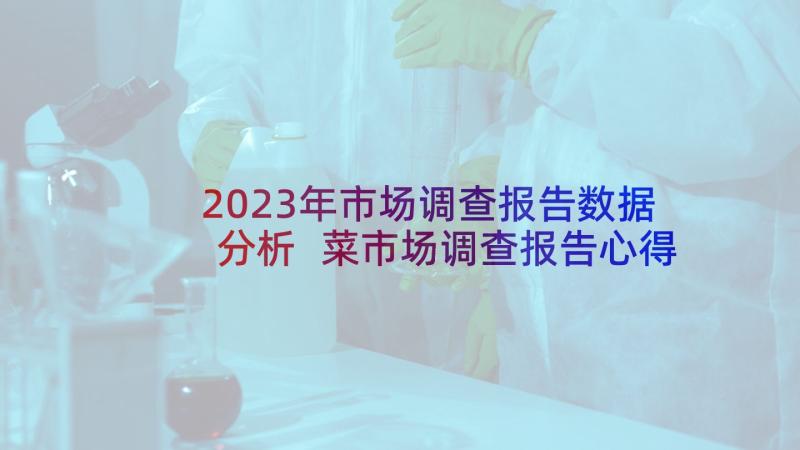 2023年市场调查报告数据分析 菜市场调查报告心得体会(通用8篇)