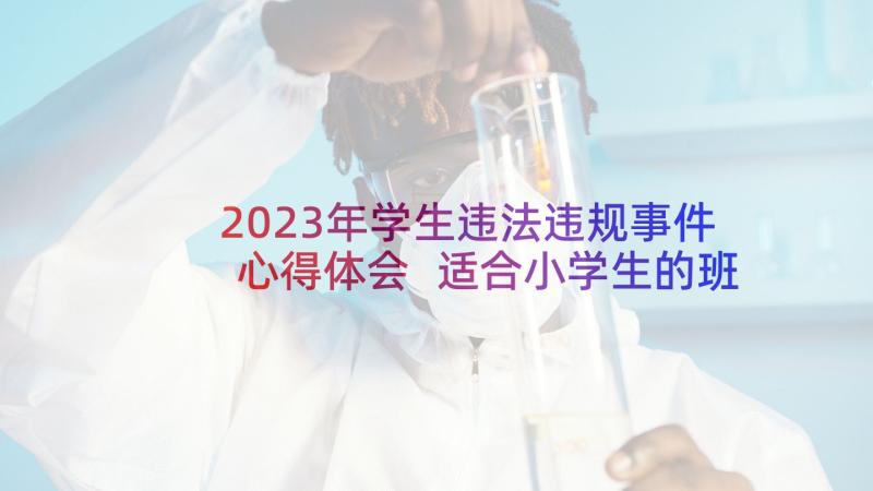 2023年学生违法违规事件心得体会 适合小学生的班会方案(汇总5篇)