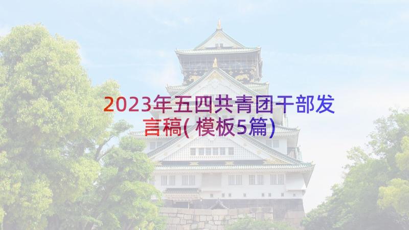 2023年五四共青团干部发言稿(模板5篇)