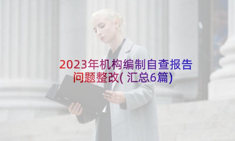 2023年机构编制自查报告问题整改(汇总6篇)