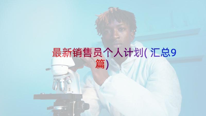 最新销售员个人计划(汇总9篇)