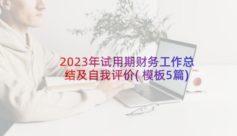 2023年试用期财务工作总结及自我评价(模板5篇)