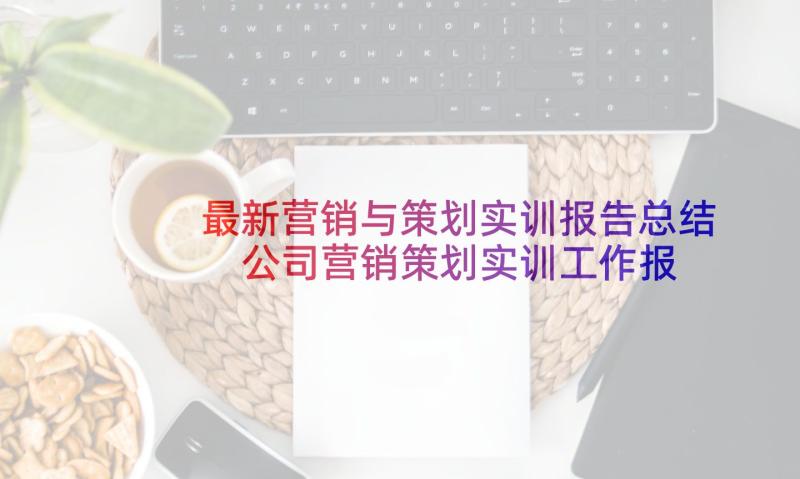 最新营销与策划实训报告总结 公司营销策划实训工作报告(大全5篇)