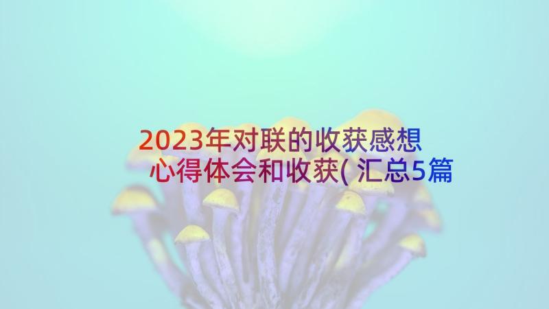 2023年对联的收获感想 心得体会和收获(汇总5篇)