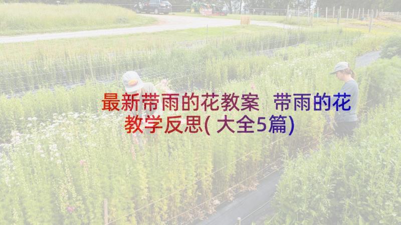 最新带雨的花教案 带雨的花教学反思(大全5篇)