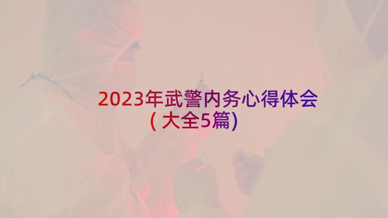 2023年武警内务心得体会(大全5篇)