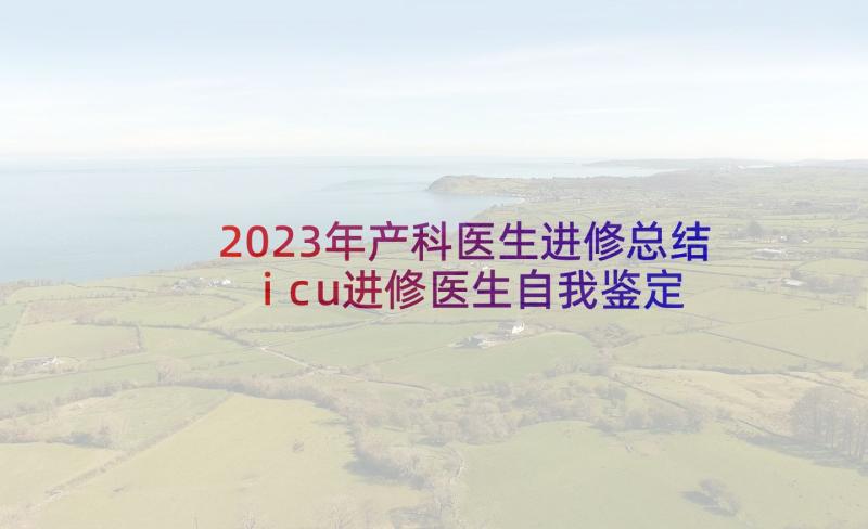 2023年产科医生进修总结 icu进修医生自我鉴定(大全10篇)