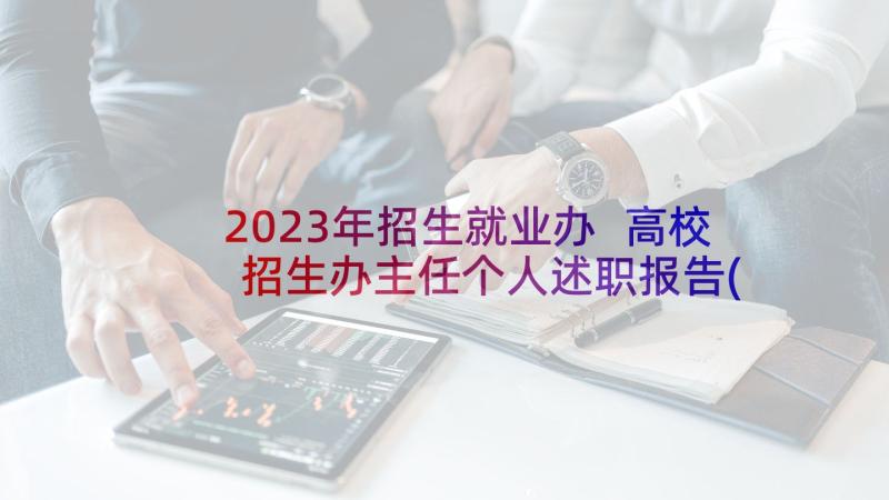 2023年招生就业办 高校招生办主任个人述职报告(通用5篇)