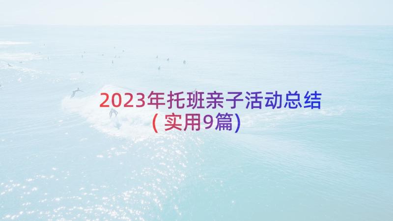 2023年托班亲子活动总结(实用9篇)