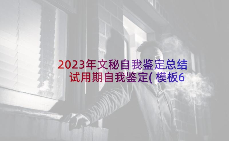 2023年文秘自我鉴定总结 试用期自我鉴定(模板6篇)