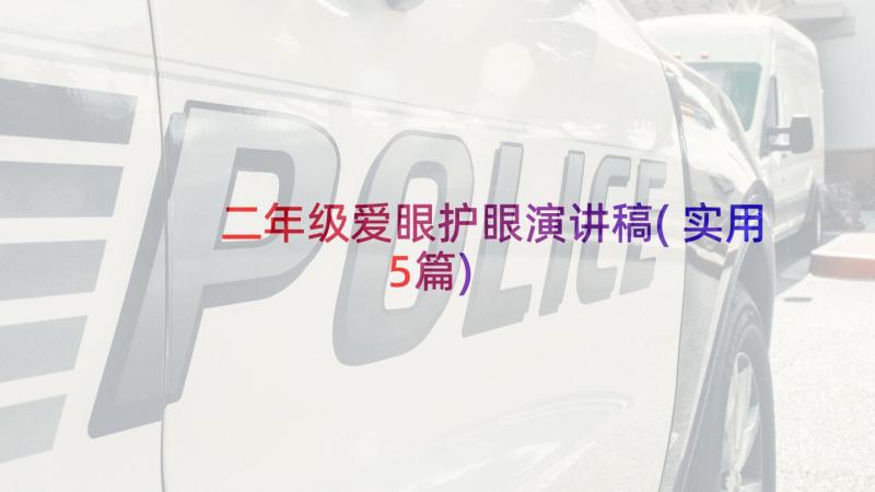 二年级爱眼护眼演讲稿(实用5篇)