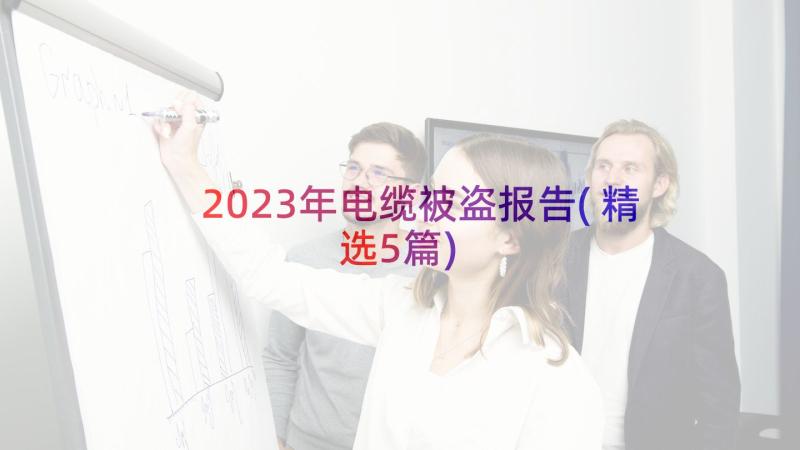 2023年电缆被盗报告(精选5篇)