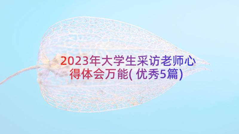 2023年大学生采访老师心得体会万能(优秀5篇)