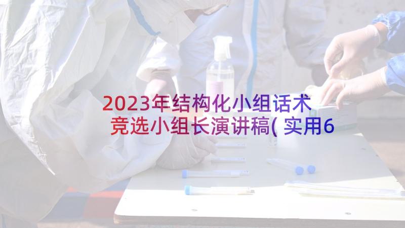 2023年结构化小组话术 竞选小组长演讲稿(实用6篇)