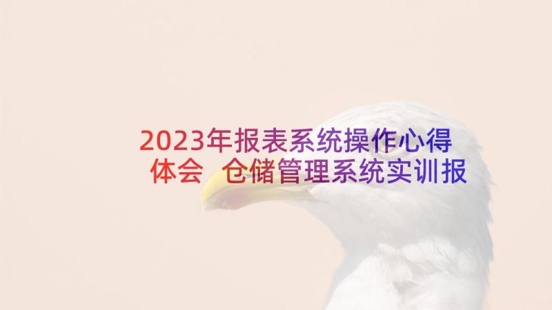 2023年报表系统操作心得体会 仓储管理系统实训报告(大全5篇)