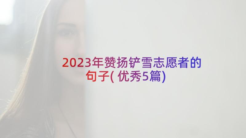 2023年赞扬铲雪志愿者的句子(优秀5篇)