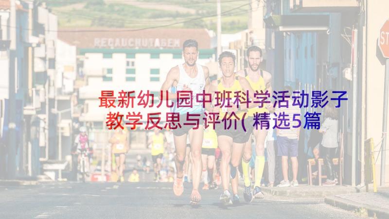 最新幼儿园中班科学活动影子教学反思与评价(精选5篇)