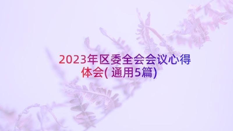 2023年区委全会会议心得体会(通用5篇)