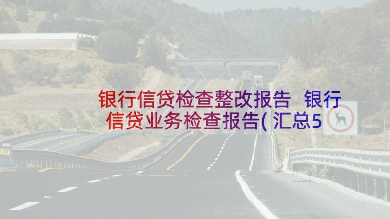 银行信贷检查整改报告 银行信贷业务检查报告(汇总5篇)