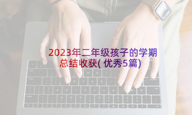 2023年二年级孩子的学期总结收获(优秀5篇)