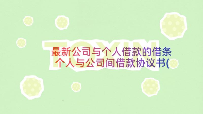 最新公司与个人借款的借条 个人与公司间借款协议书(精选5篇)